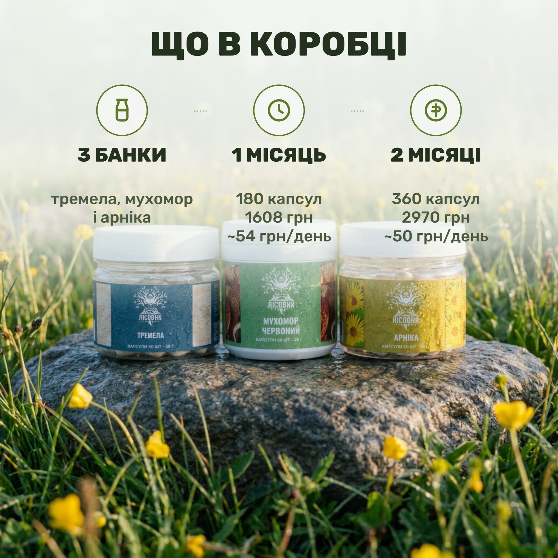 Курс Joint Flex Лісовик: три банки капсул — тремелла, мухомор красный и цветы арники