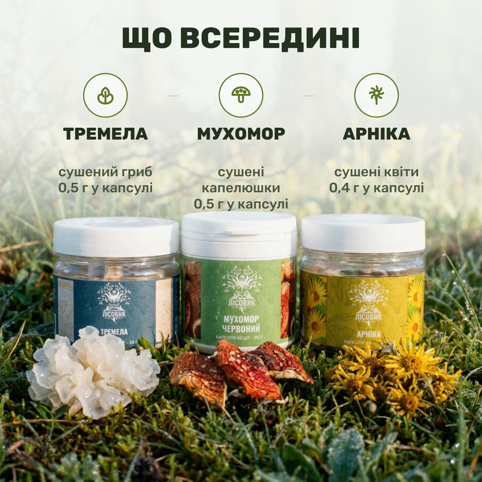 Что внутри курса Joint Flex от Лісовик: банки, сушёный снежный гриб, шляпки мухомора и соцветия арники
