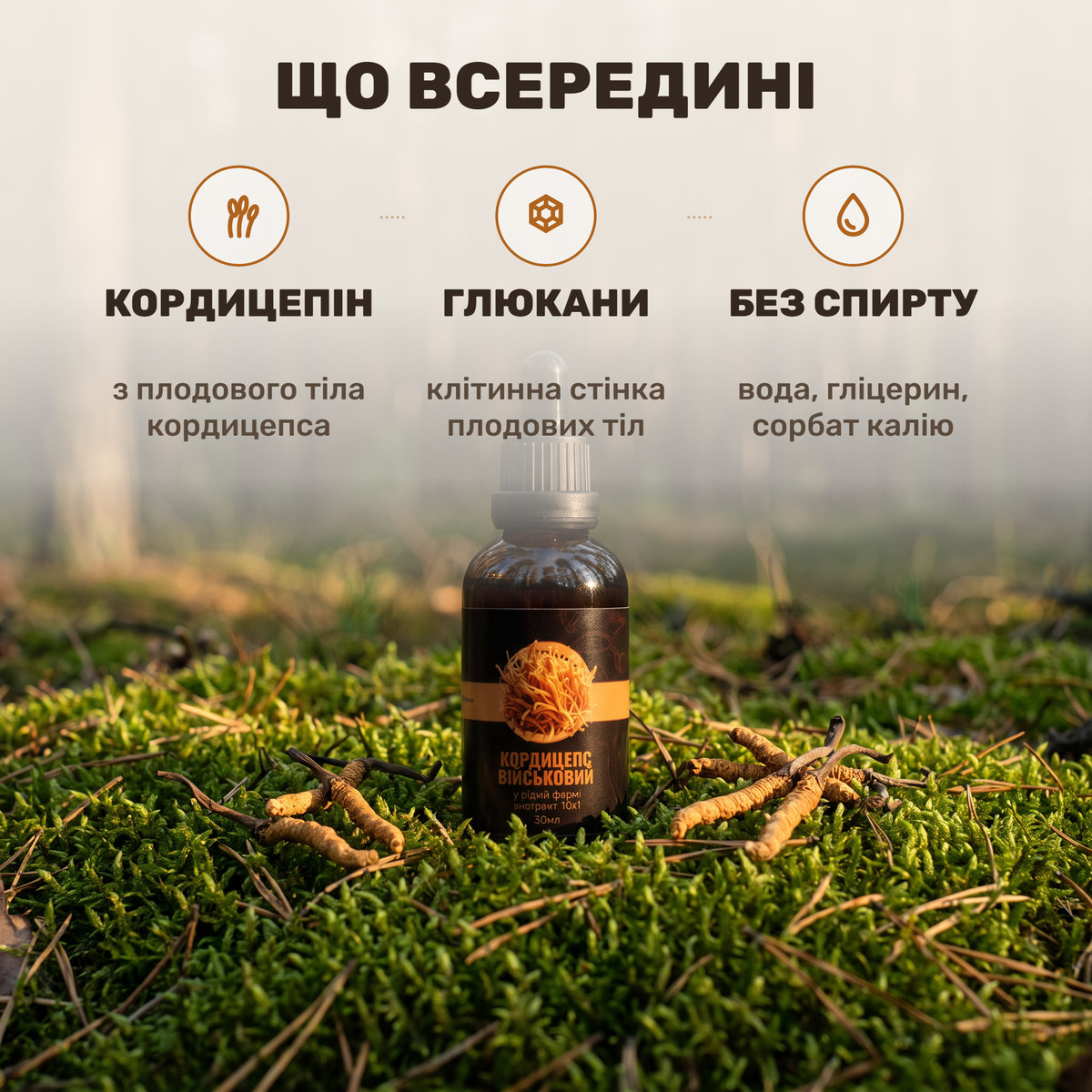 Флакон жидкого экстракта кордицепса Лісовик и пипетка с каплей