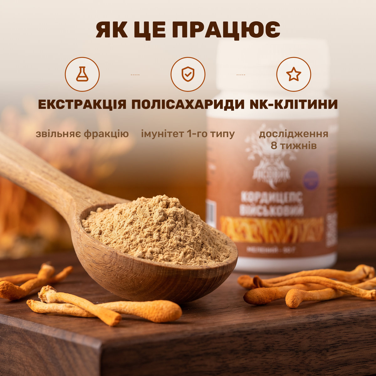 Молотый экстракт кордицепса 10:1 Лісовик в ложке крупным планом