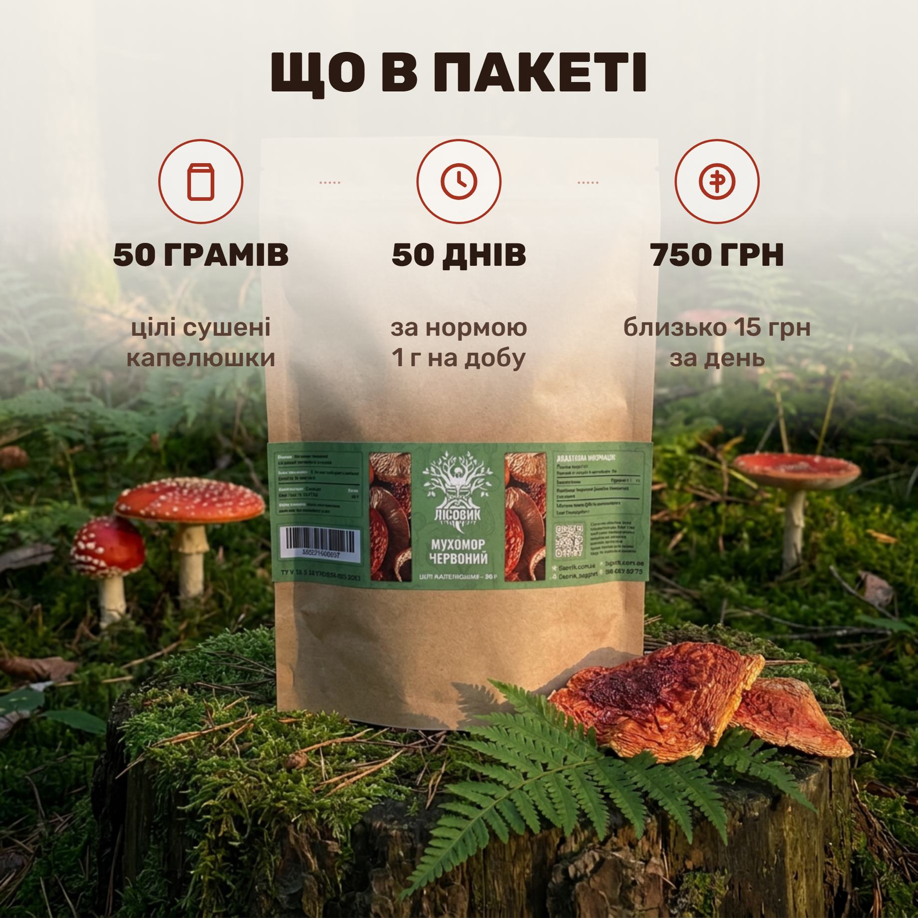 Капелюшки мухомора червоного Лісовик — цілі сушені капелюшки 50 г у крафтовому ZIP-пакеті