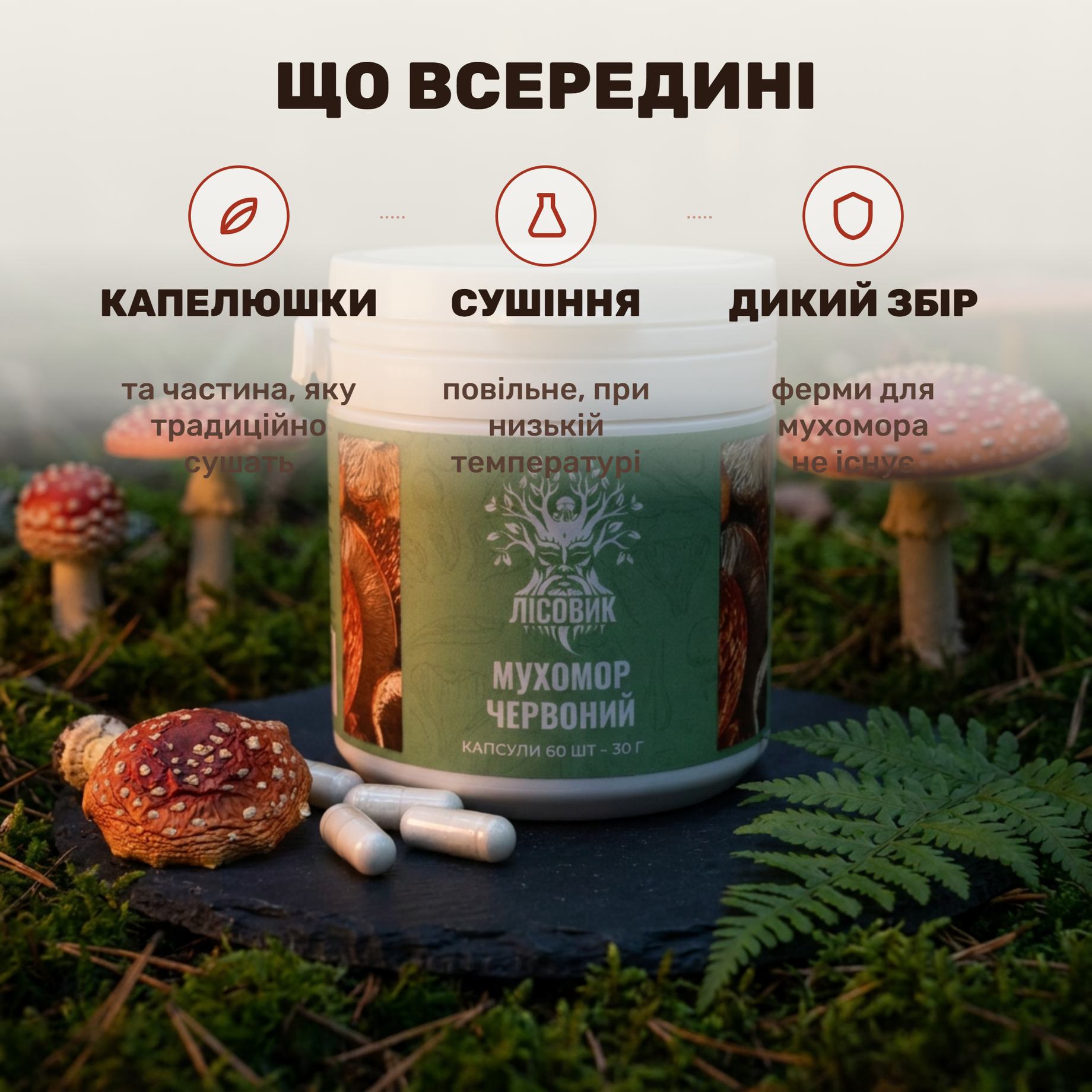 Сушені капелюшки червоного мухомора Лісовик на дерев'яній дошці, поруч відкрита банка капсул по 0,5 г