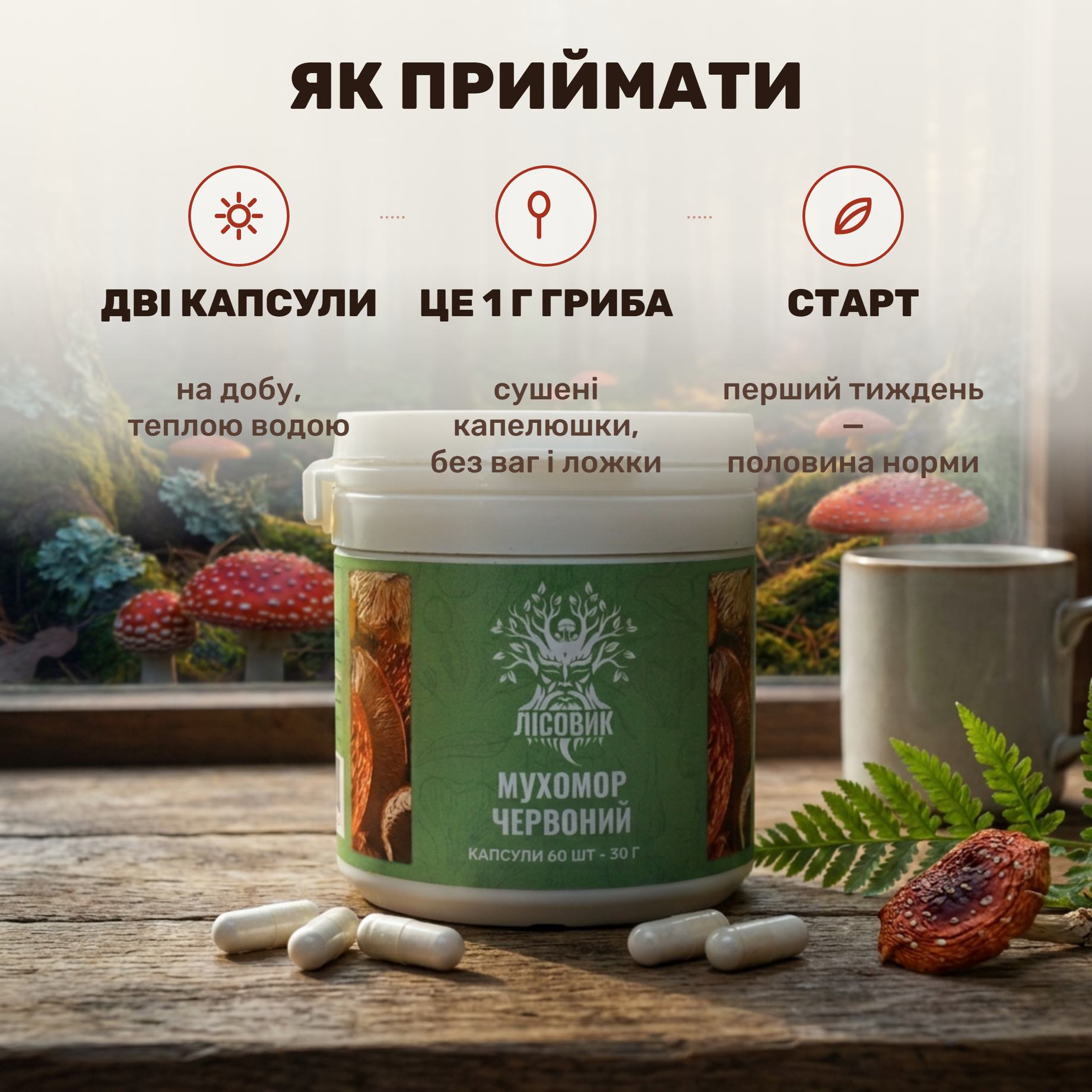 Капсули мікродозингу мухомора червоного Лісовик — банка, дві капсули по 0,5 г і склянка теплої води на дерев'яному столі