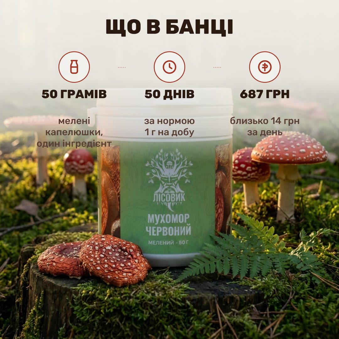 Шляпки мухомора красного молотые Лісовик — непрозрачная банка 50 г и ложка красно-коричневого грибного порошка
