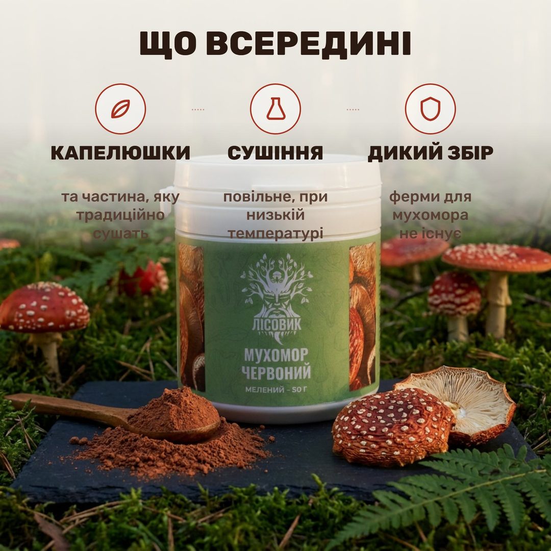 Непрозрачная банка молотого мухомора красного Лісовик на деревянной доске, рядом ложка красно-коричневого порошка и сушёная шляпка