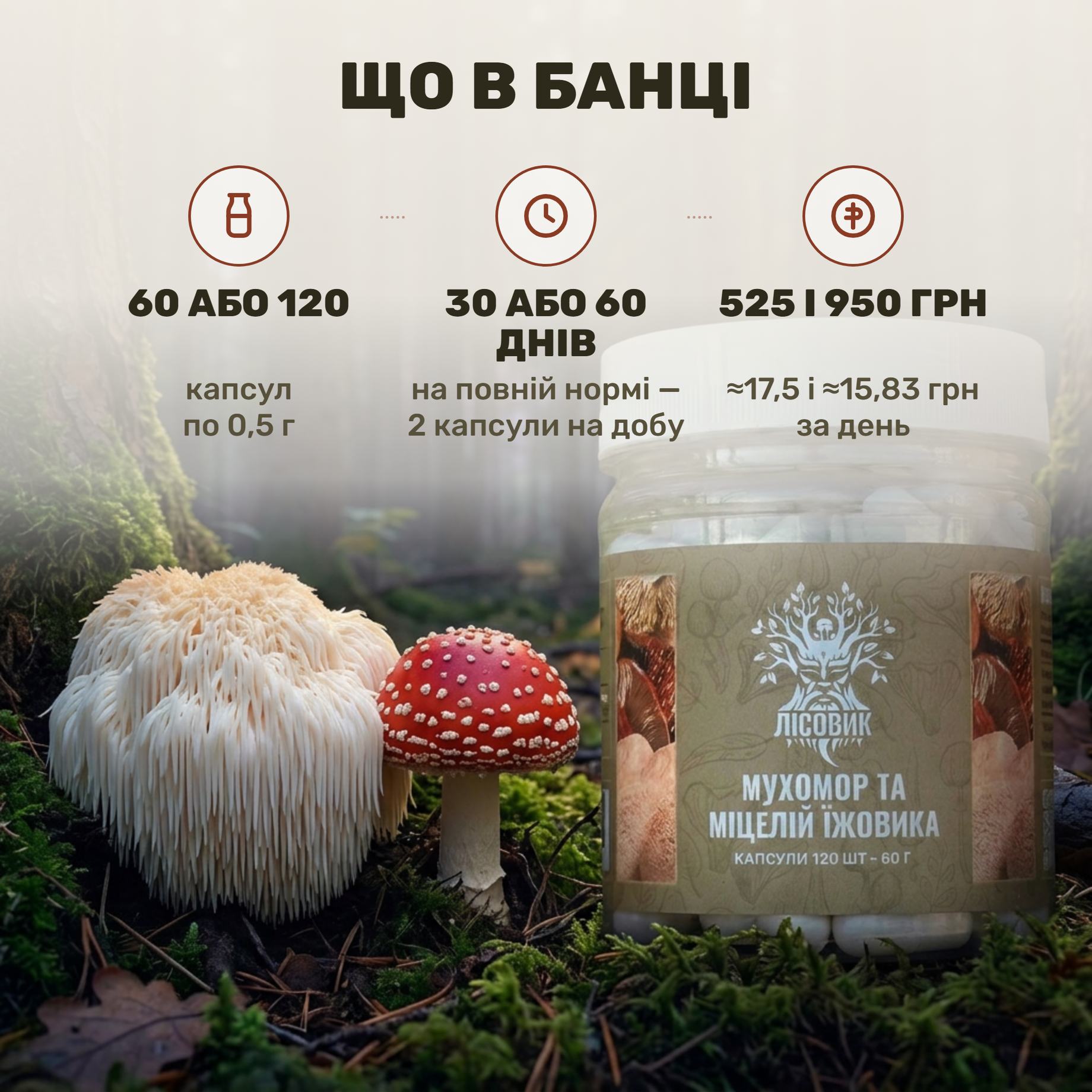 Капсулы микса мухомора красного и мицелия ежовика Лісовик рядом с сушёным сырьём
