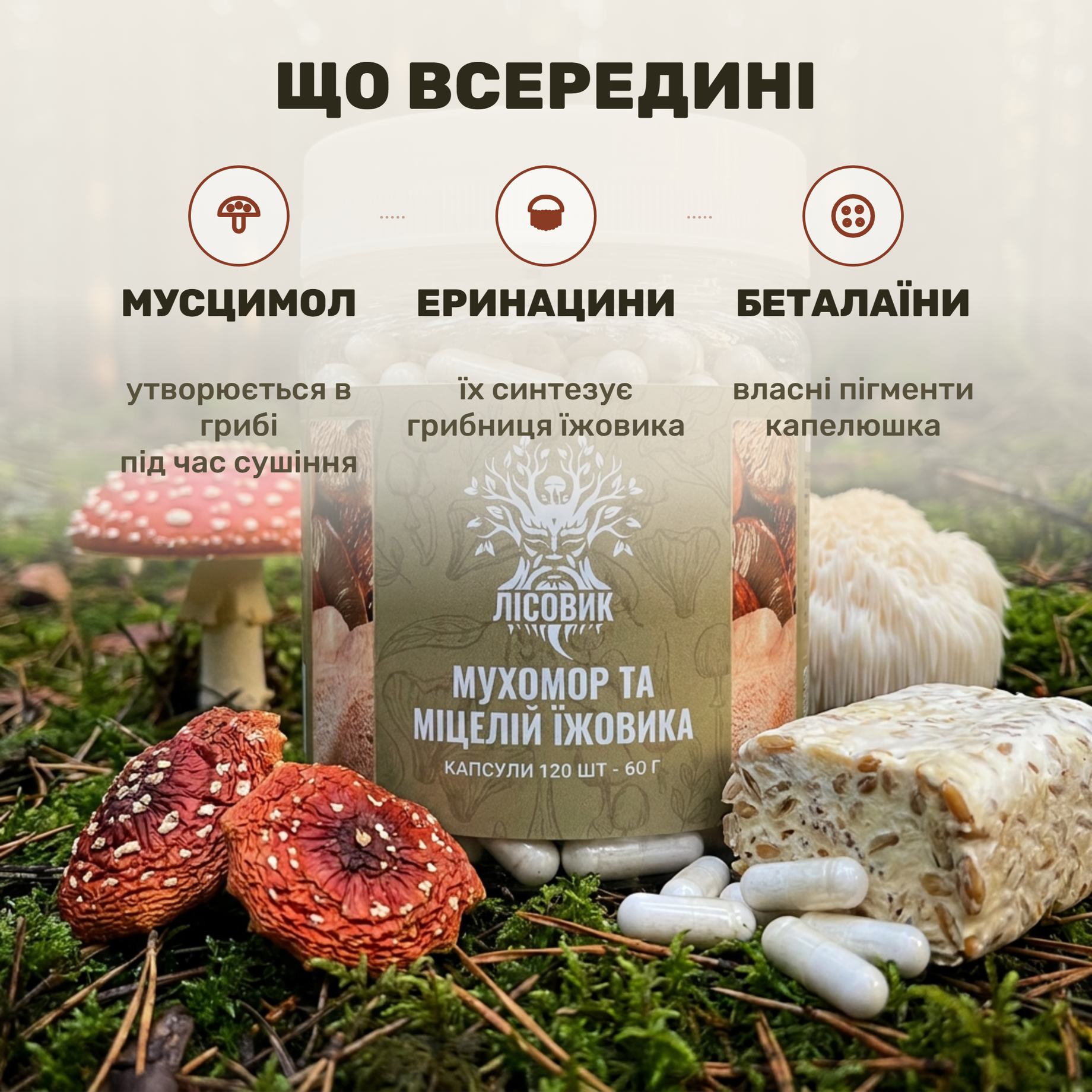 Сушёный красный мухомор и блок грибницы ежовика рядом с банкой капсул Лісовик