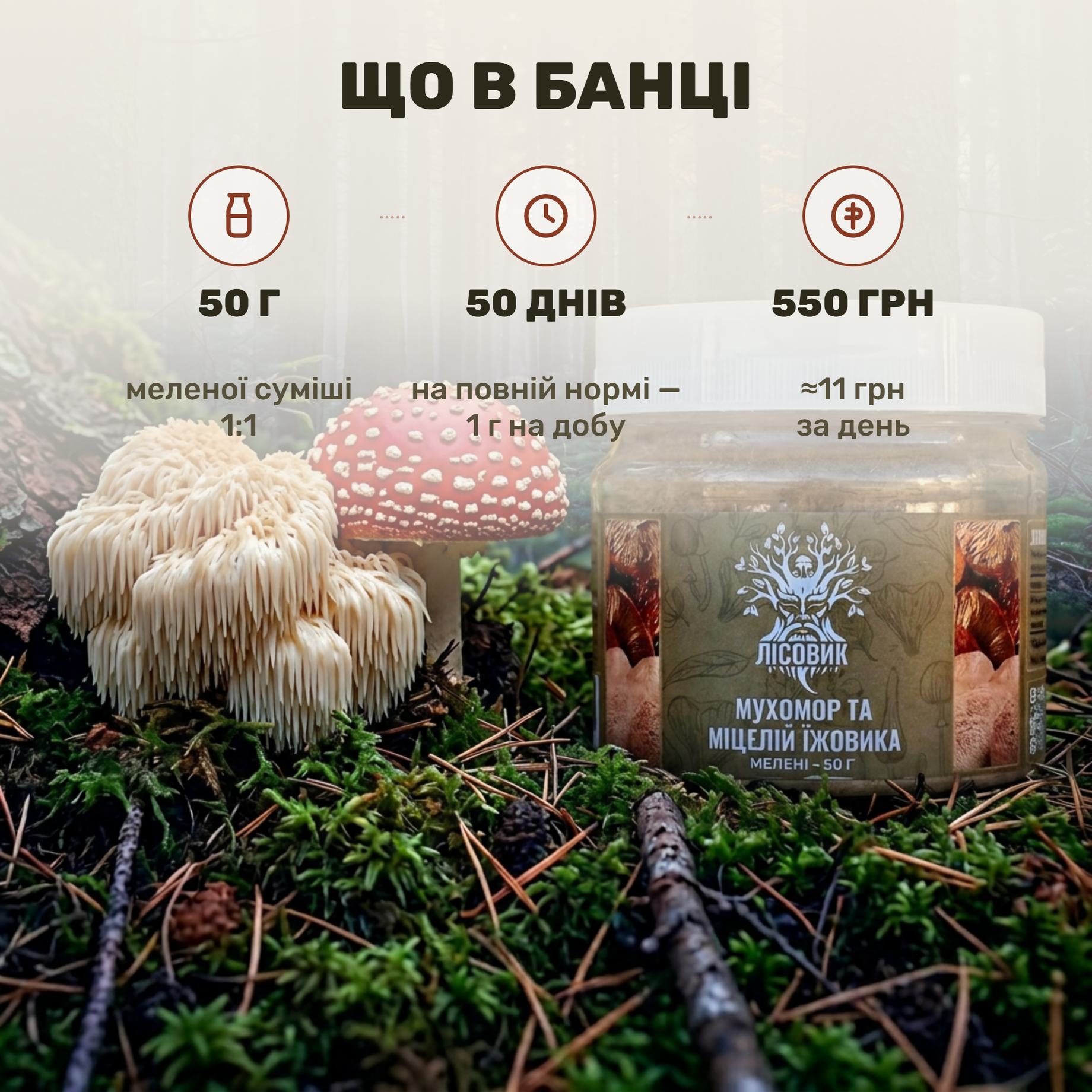 Молотый микс 1:1 в прозрачной банке Лісовик — грибной порошок крупным планом