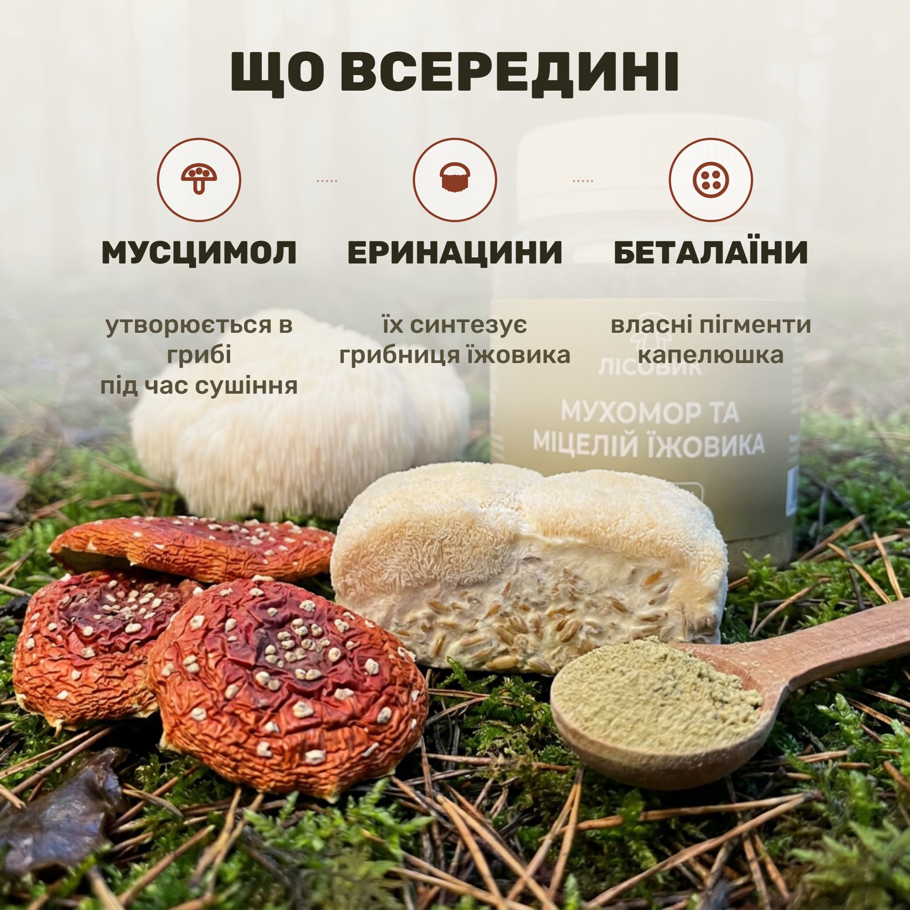 Прозрачная банка молотого микса мухомора и мицелия ежовика Лісовик, рядом ложка порошка