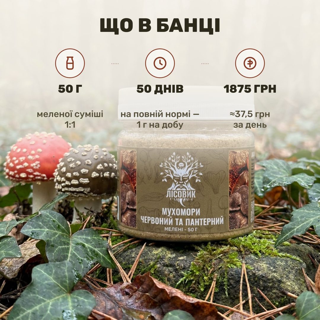 Мікс мухомора червоного та пантерного мелений Лісовик — 50 г у прозорій банці