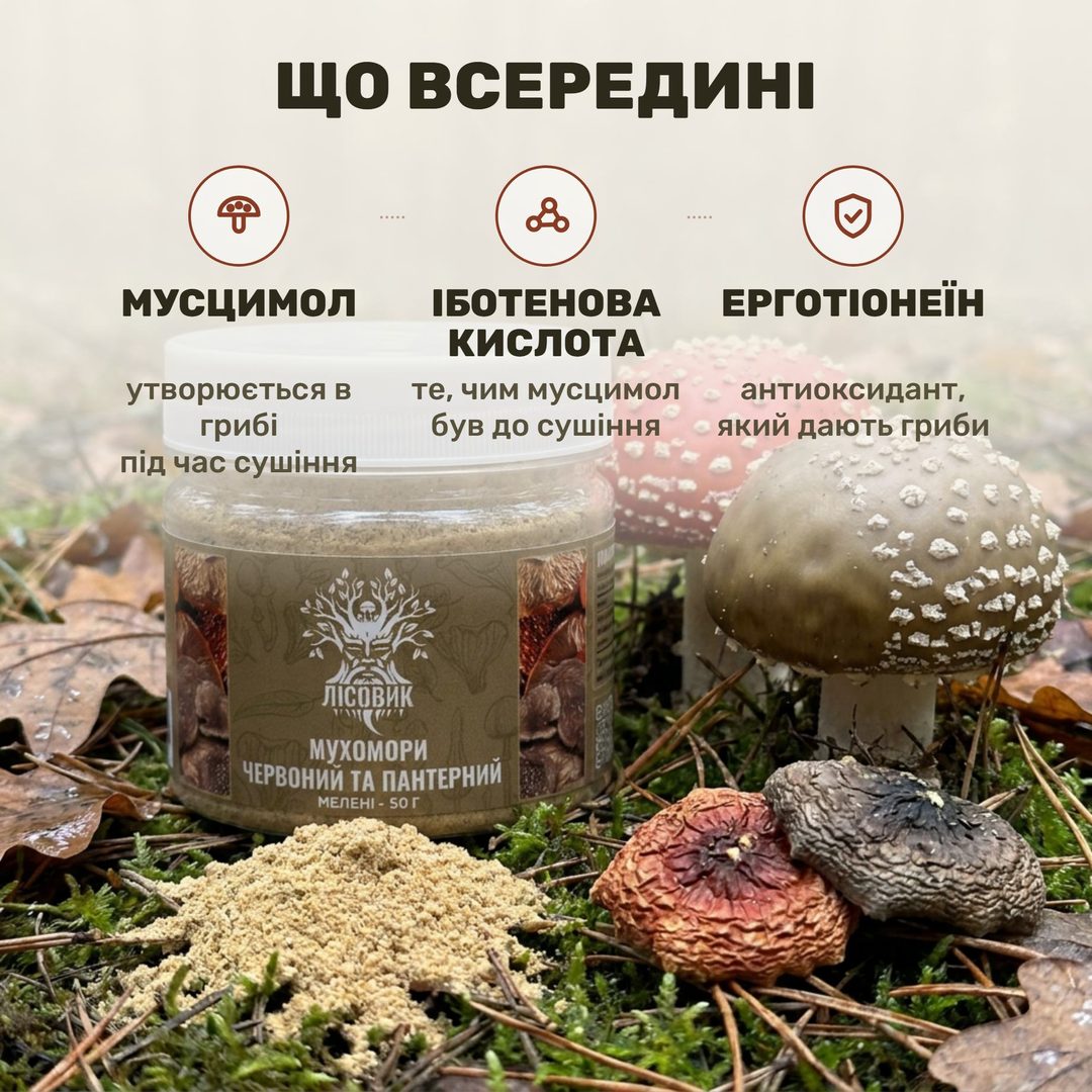 Мелені капелюшки мухомора червоного та пантерного Лісовик у прозорій банці 50 г