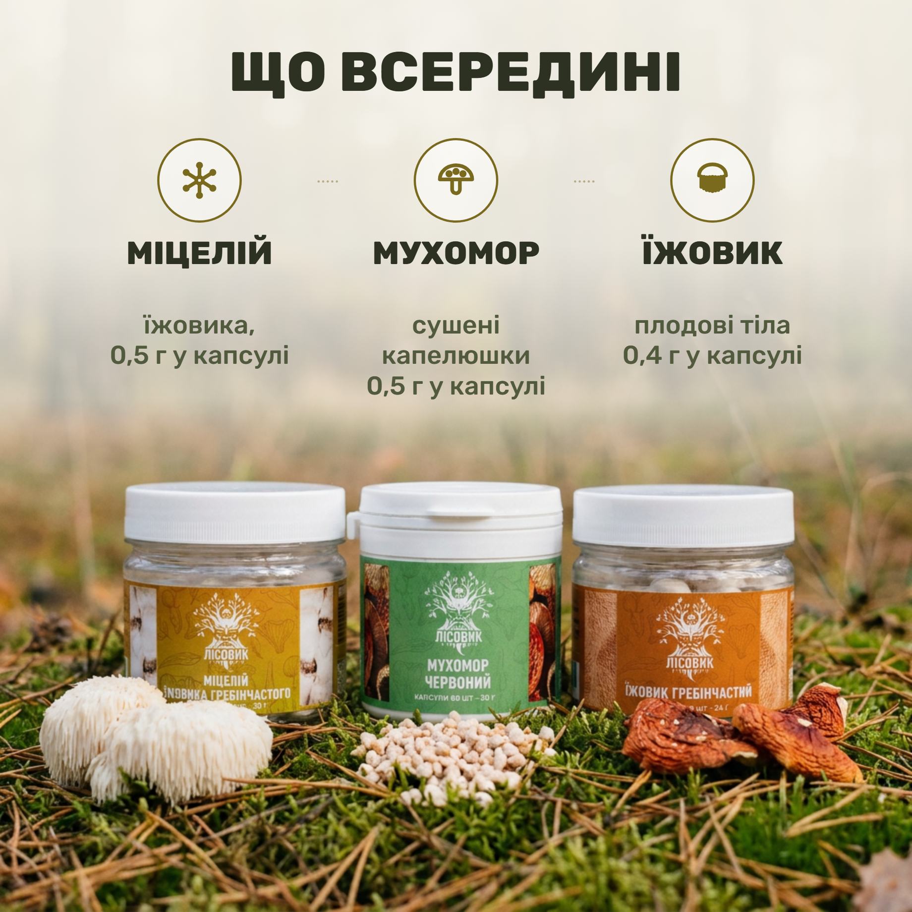 Три банки курса MindBoost от Лісовик: мицелий ежовика, плодовые тела и мухомор