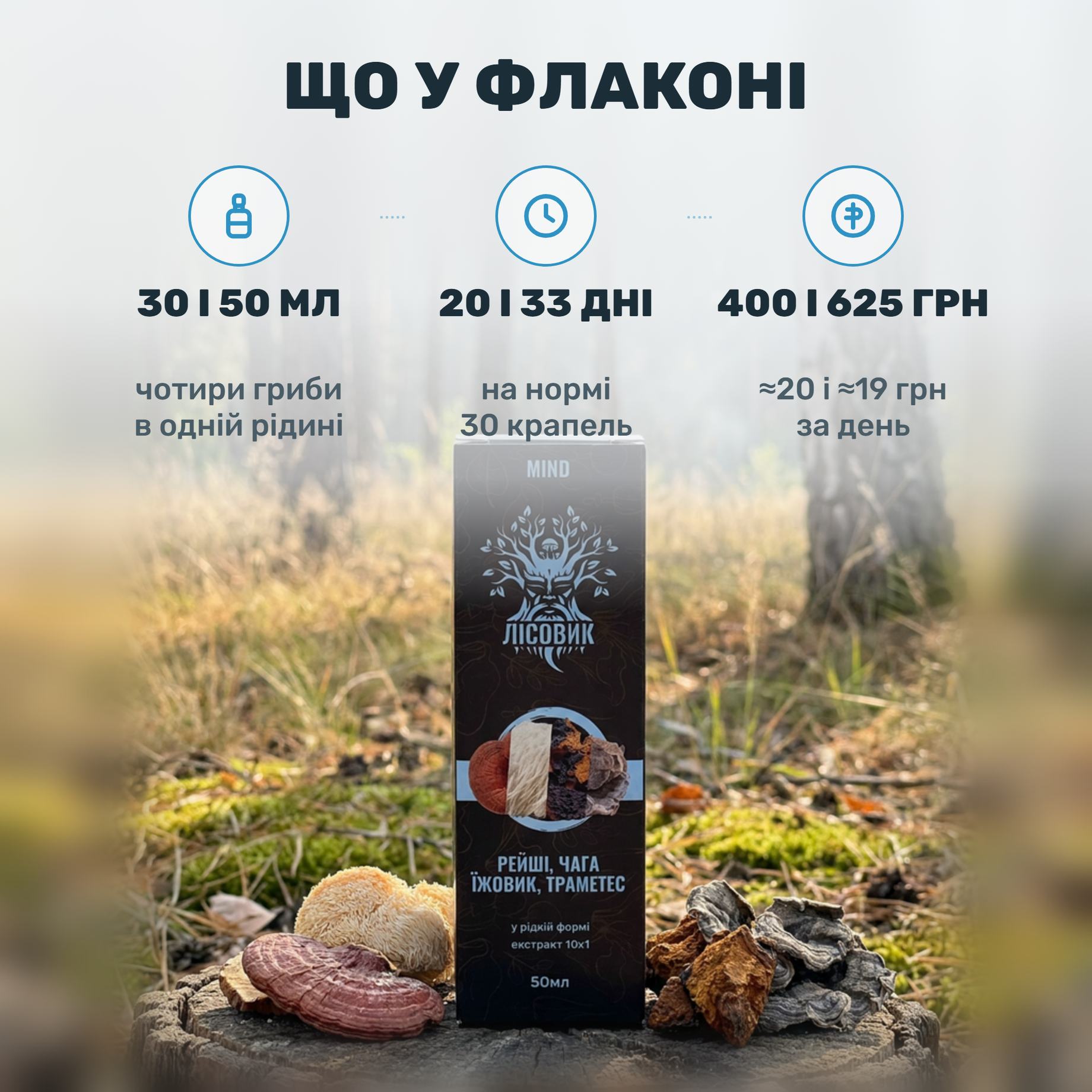 Флакон комплексу MIND Лісовик із піпеткою поруч із чотирма сушеними грибами