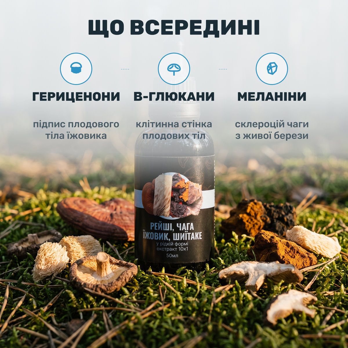 Флакон MIND Лісовик із піпеткою, поруч сухий шматок березової чаги