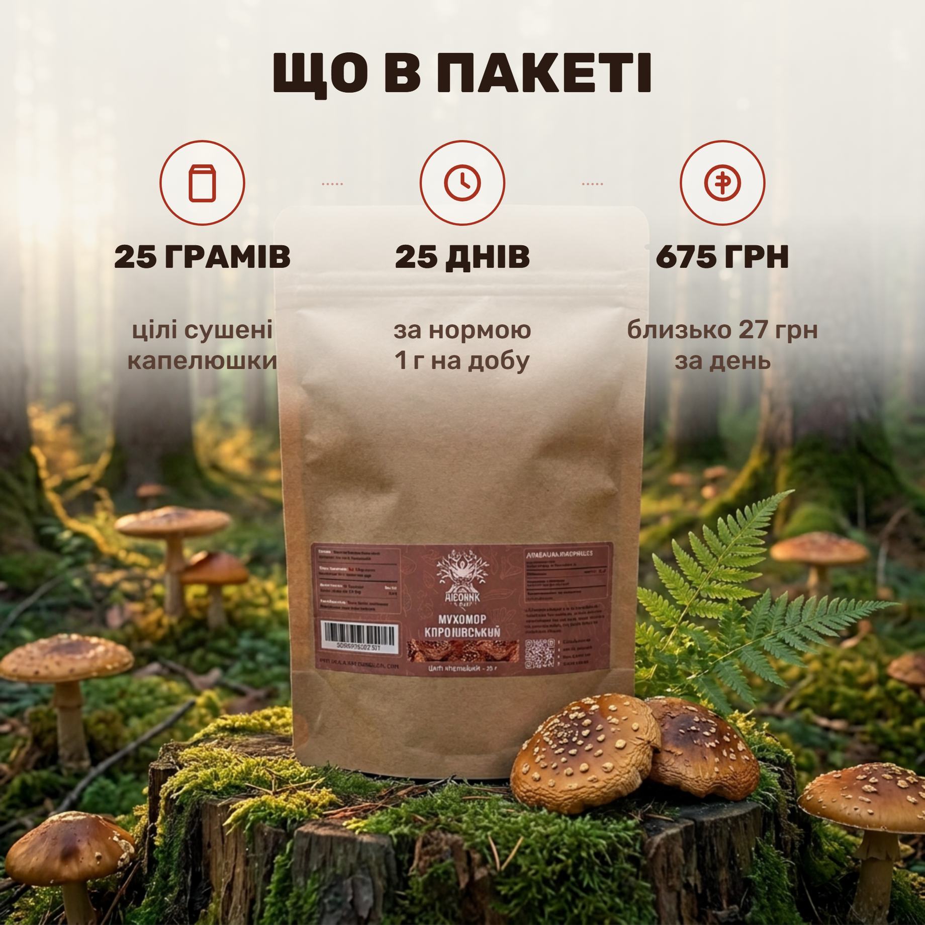Капелюшки королівського мухомора Лісовик — сушені печінково-бурі капелюшки Amanita regalis, крафтовий пакет 25 г