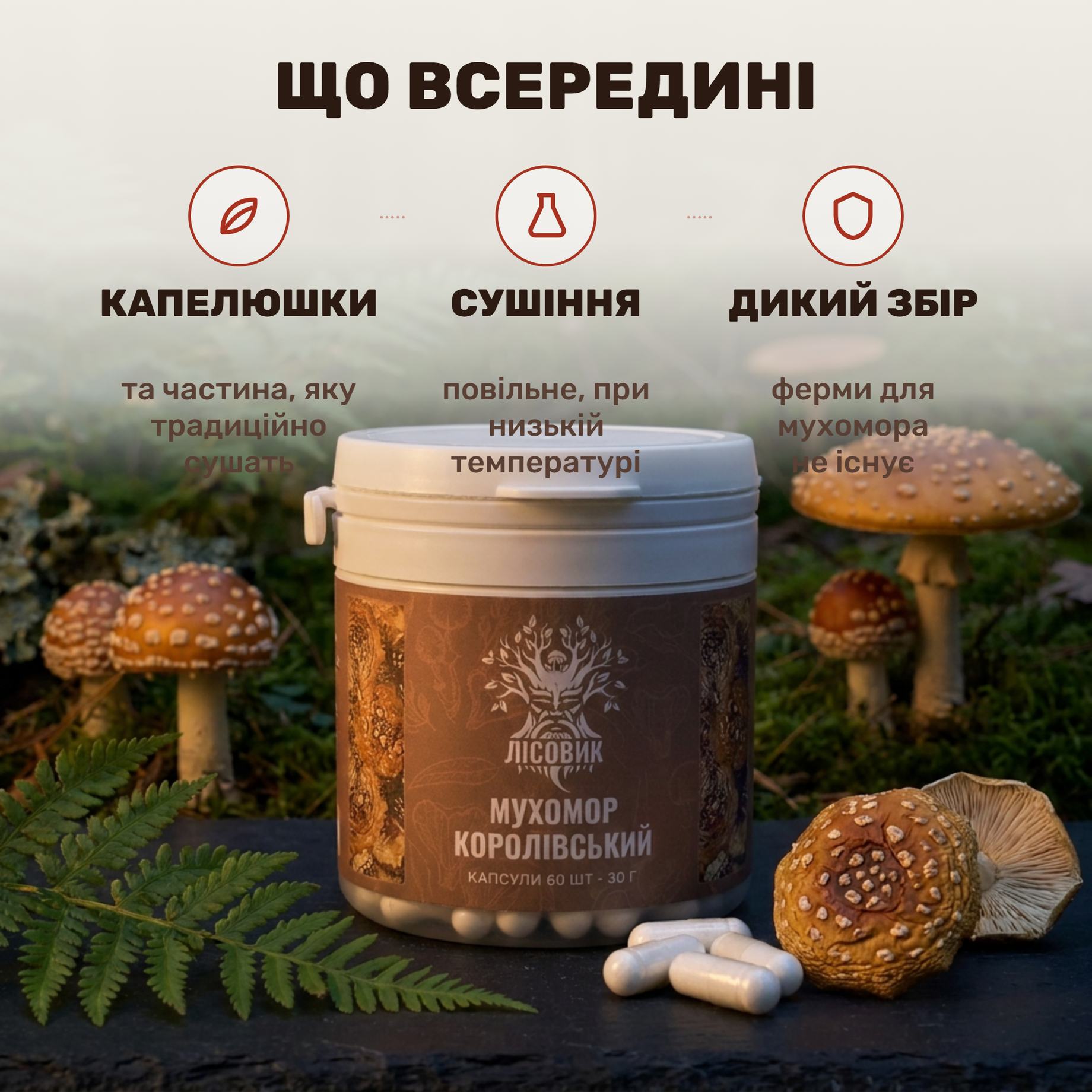 Сушені капелюшки королівського мухомора Лісовик поруч із відкритою банкою капсул на дерев'яній дошці