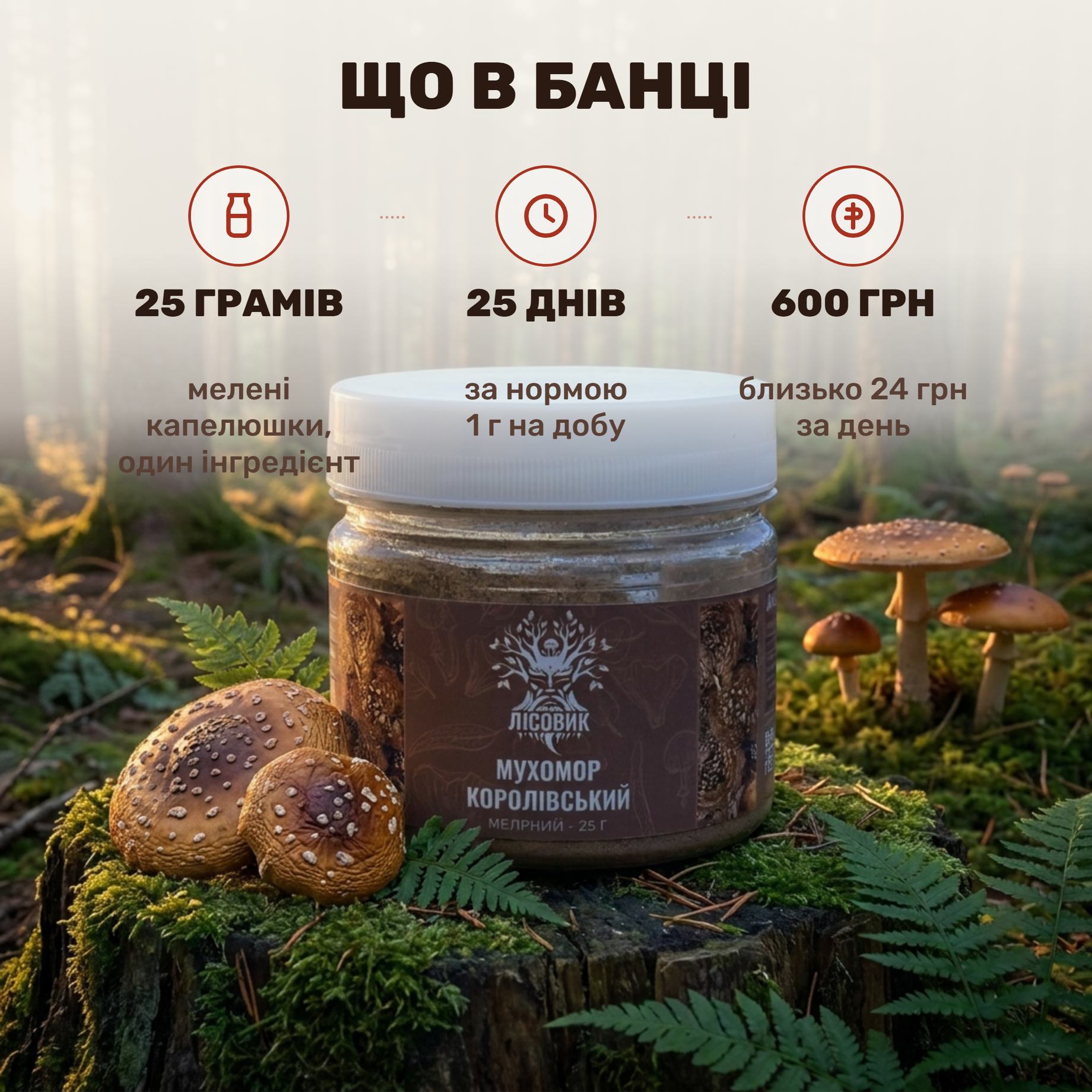 Королівський мухомор мелений Лісовик — прозора банка 25 г бурого грибного порошку на дерев'яному столі