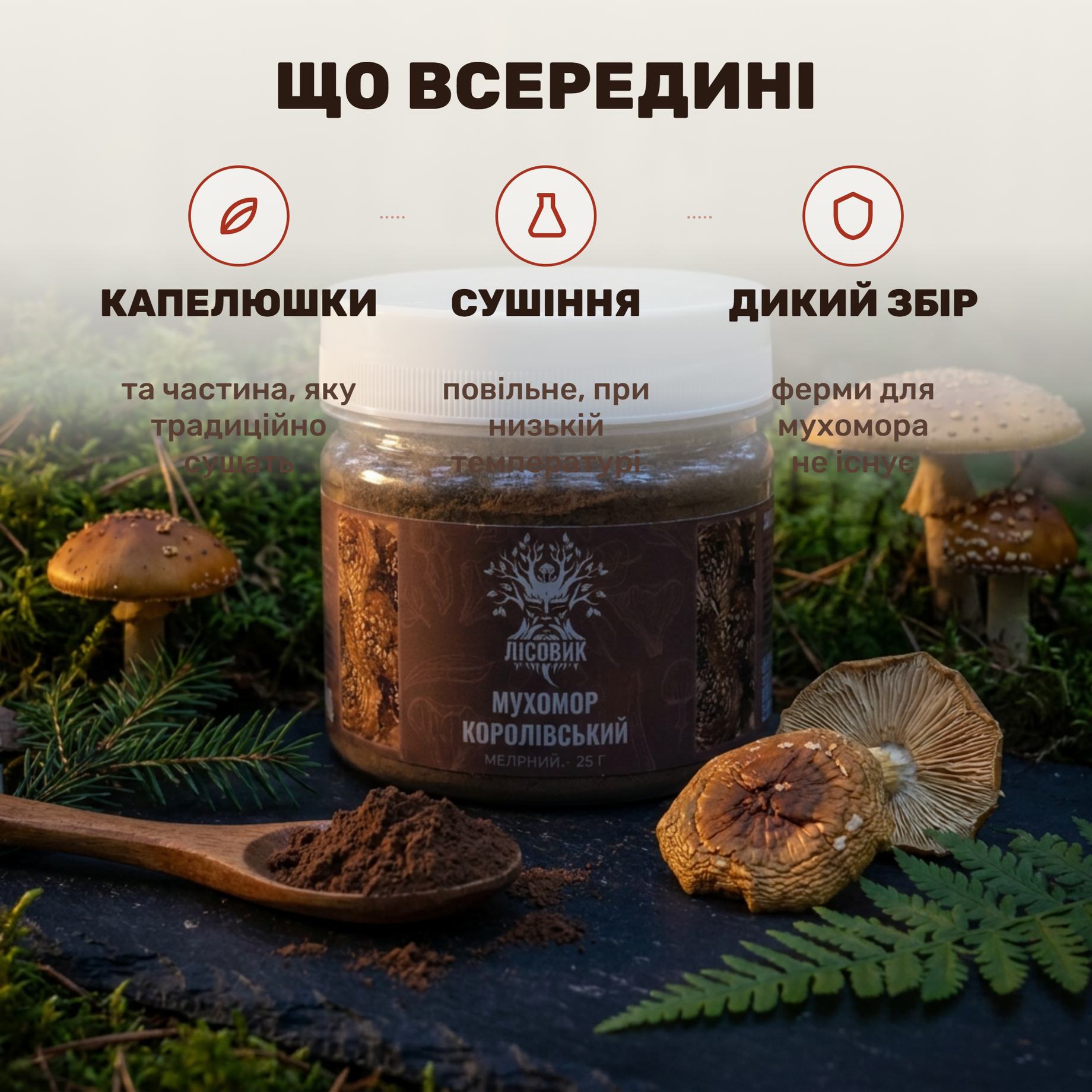 Прозора банка меленого королівського мухомора Лісовик на дерев'яній дошці, поруч ложка бурого грибного порошку