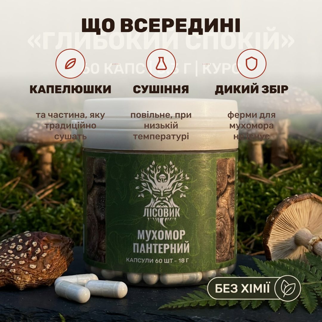 Банка мухомора пантерного Лісовик на деревянной доске, рядом сушёные шляпки и две капсулы по 0,5 г