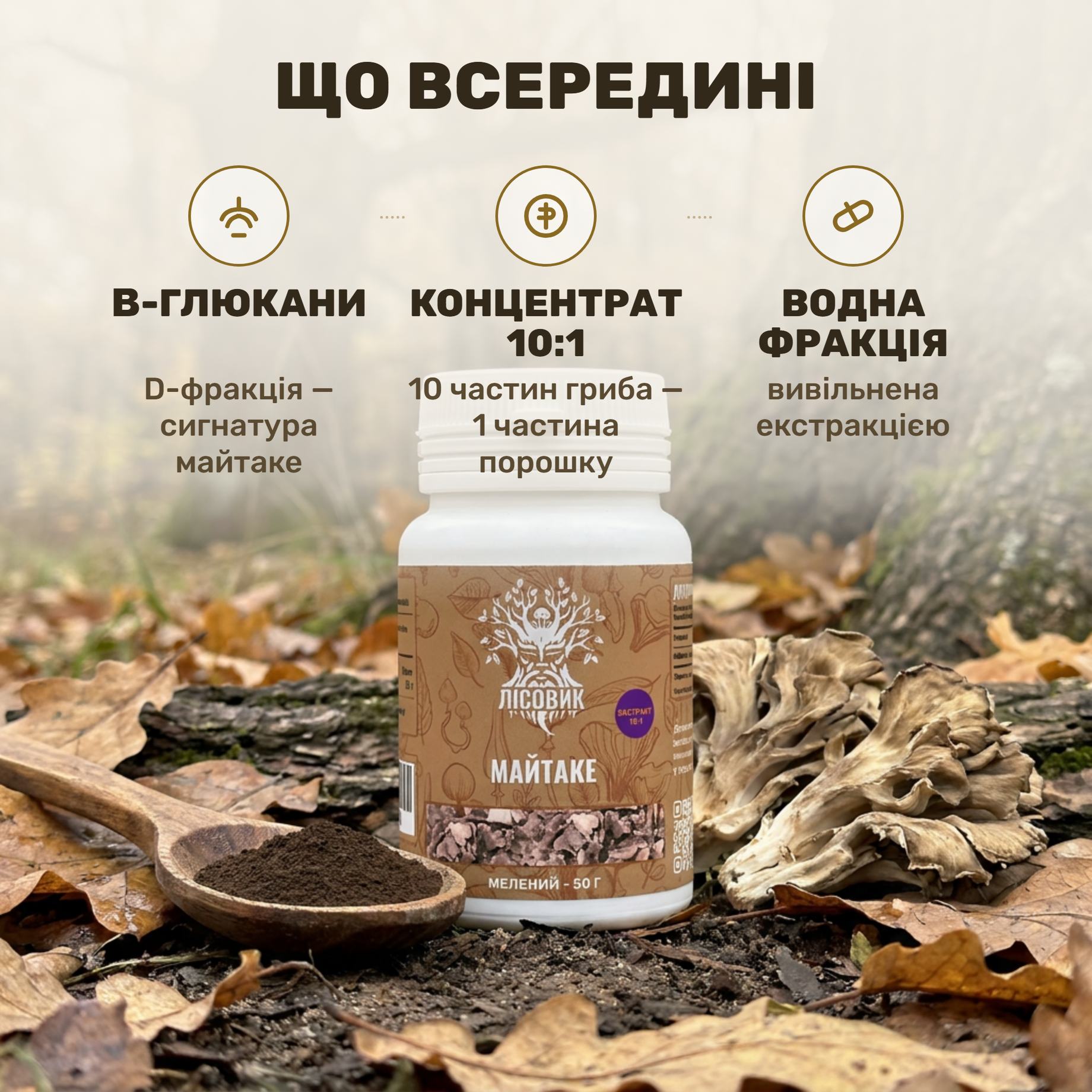 Тёмный порошок экстракта майтаке в деревянной ложке рядом с сушёными плодовыми телами