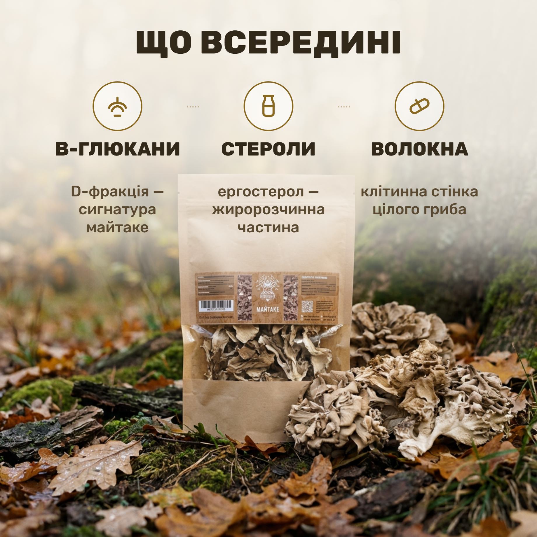 Майтаке целые сушёные Лісовик 50 г: тёмные волнистые плодовые тела танцующего гриба
