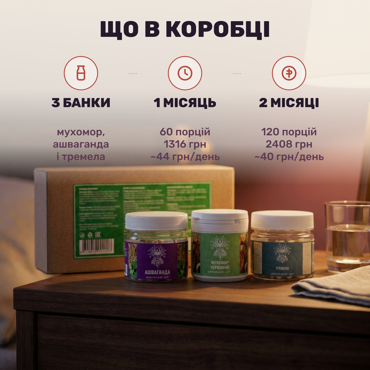 Курс Лісовик «Night Balance»: банки мухомора червоного, ашваганди та тремели