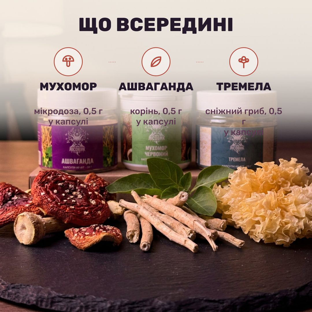 Мухомор червоний, ашваганда і тремела — курс Night Balance від Лісовик