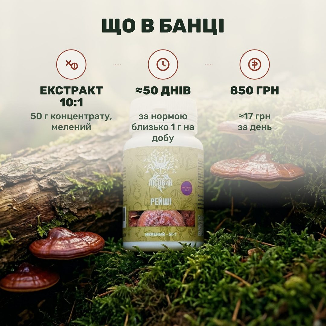 Рейші, екстракт 10:1 мелений Лісовик — непрозора банка 50 г, темний порошок у ложці над склянкою теплої води, поруч шматок трутовика лакованого