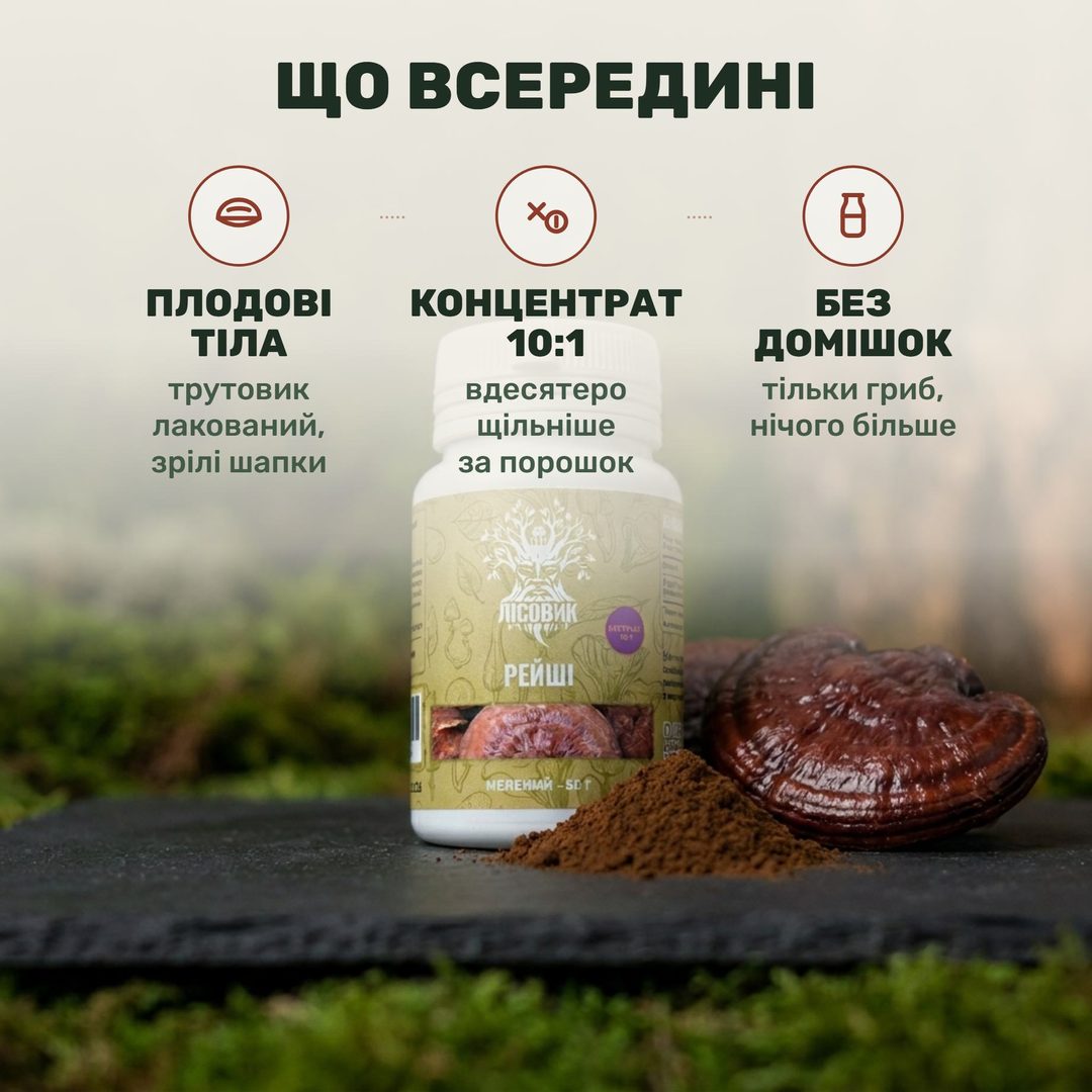 Мелений екстракт рейші 10:1 Лісовик: лакований трутовик на дубовій корі поруч із банкою 50 г, ложка темного порошку над теплою водою