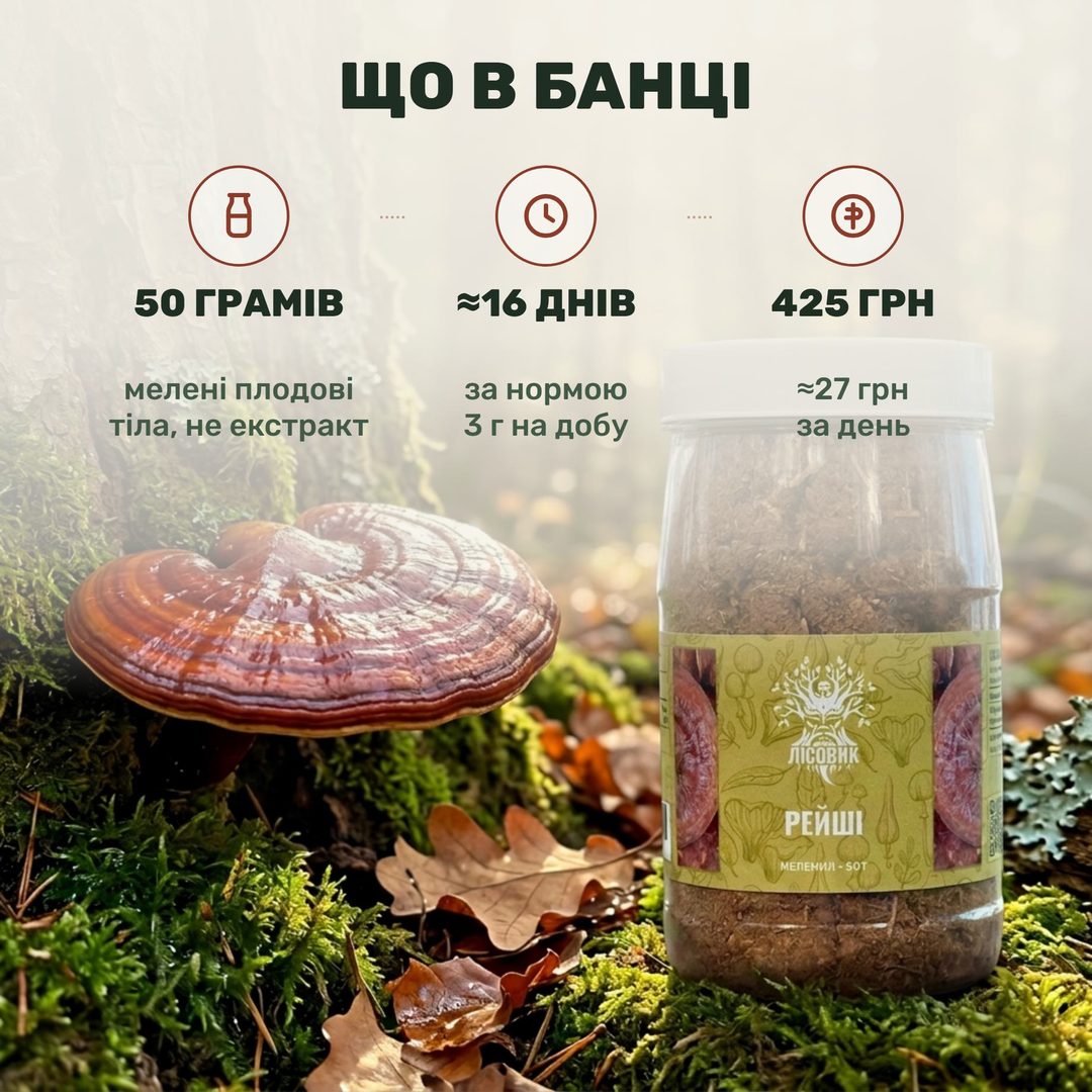 Мелені плодові тіла рейші Лісовик — прозора банка 50 г і бурий помел у ложці