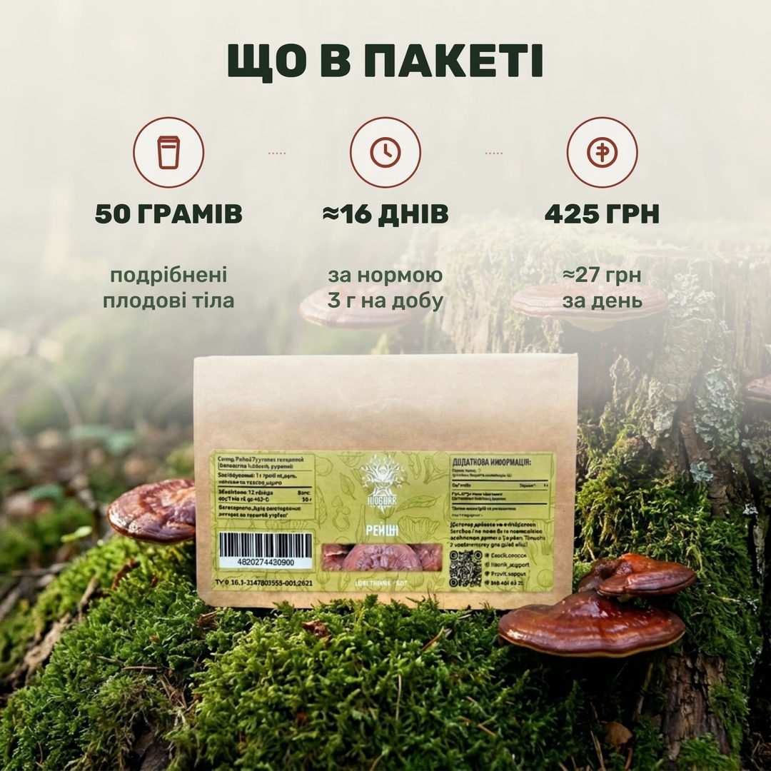 Рейші, подрібнені плодові тіла Лісовик — крафтовий пакет 50 г, шматочки трутовика лакованого з темним глянцем і світлим зламом, поряд чашка темного настою