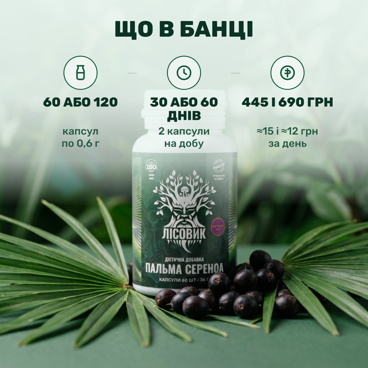 Банка пальми сереноа Лісовик у капсулах поряд із плодами Serenoa repens