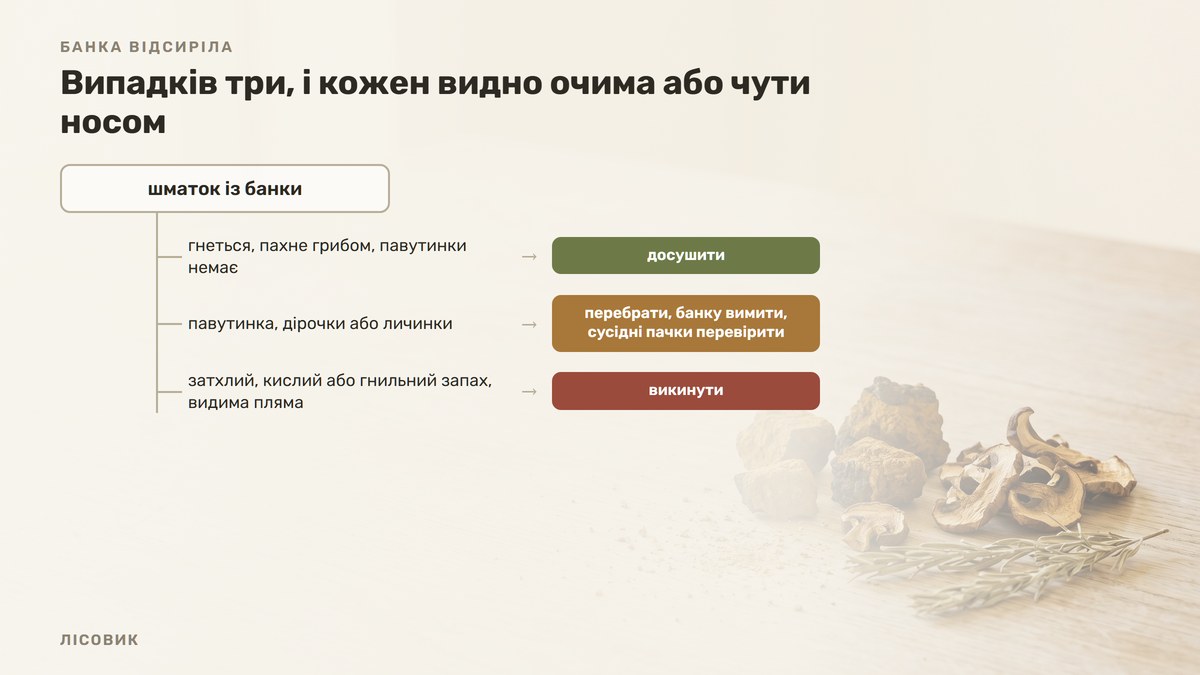 Схема: від шматка з банки три гілки — «гнеться, пахне грибом» веде до «досушити», «павутинка, дірочки або личинки» до «перебрати, банку вимити, сусідні пачки перевірити», «затхлий запах або видима пляма» до «викинути»