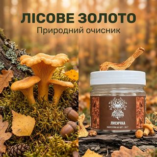 Лисичка справжня Лісовик капсули