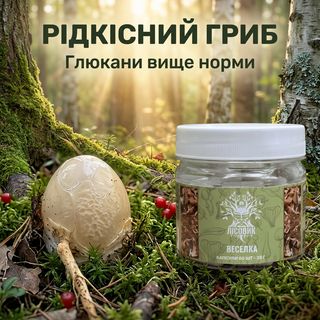 Капсулы, 60 шт — веселка звичайна Лісовик