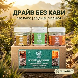 ENERGY — курс Лисовик