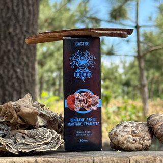Комплекс жидких экстрактов GASTRO Лісовик для работы ЖКТ