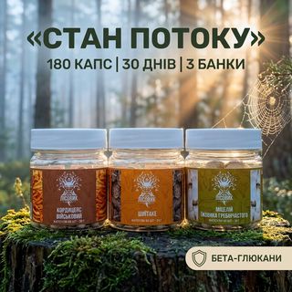 Курс Focus Flow Лісовик — концентрация и продуктивность