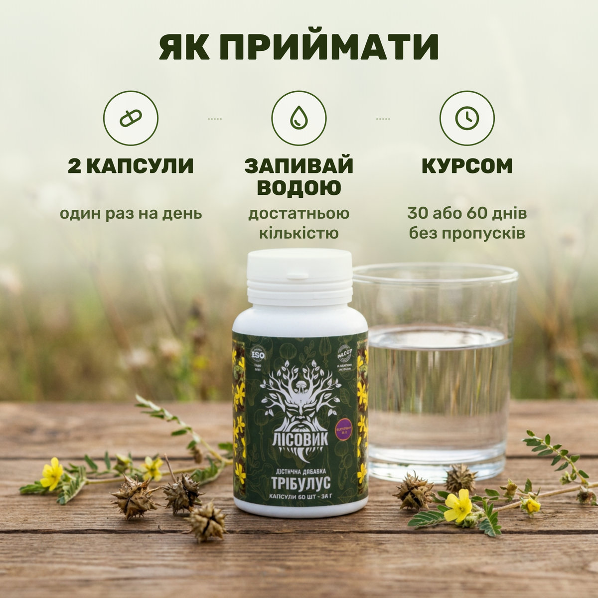 Две капсулы трибулуса Лісовик и стакан воды на столе рядом со спортивной формой