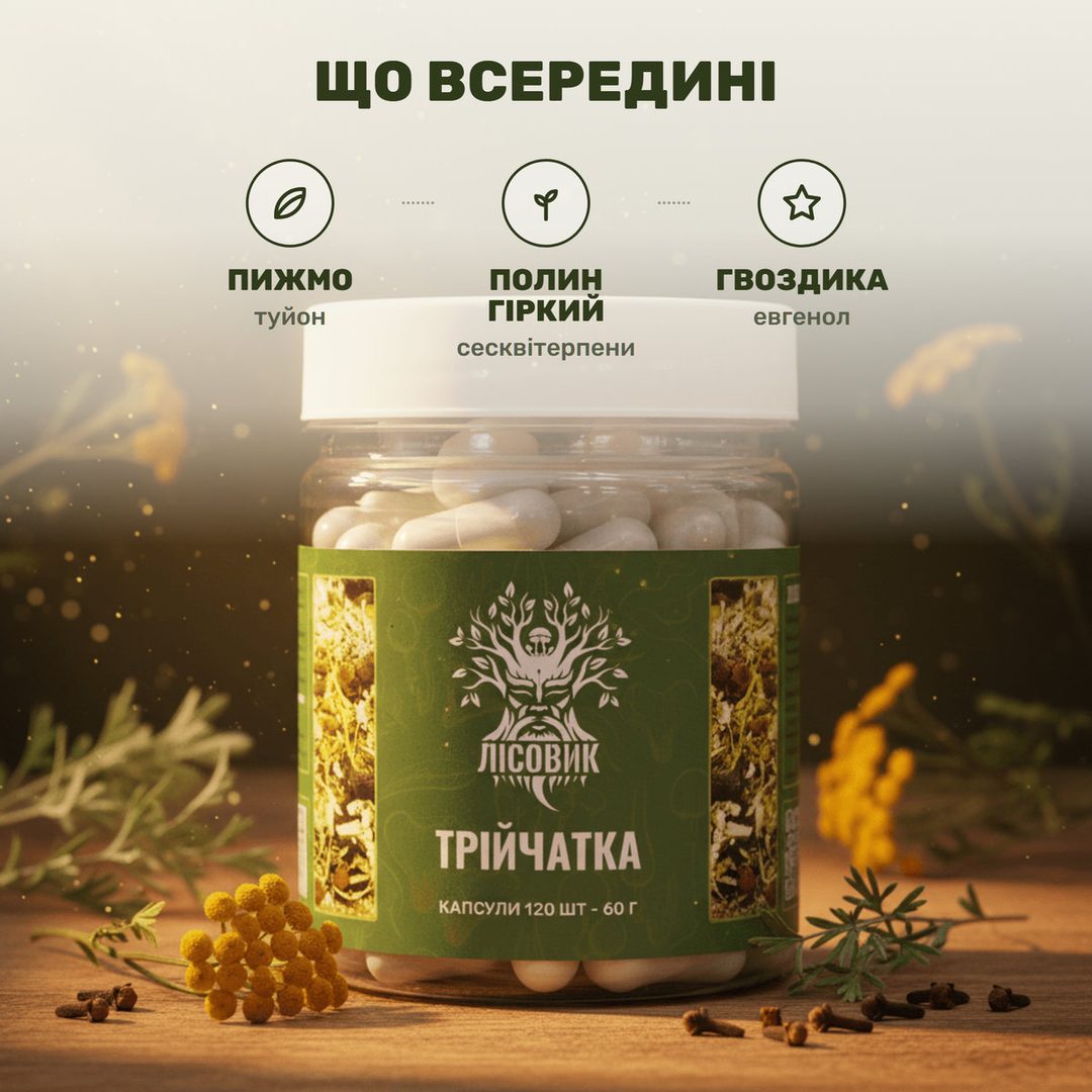Капсулы Тройчатка Лісовик рядом с соцветием пижмы, веткой полыни и бутонами гвоздики