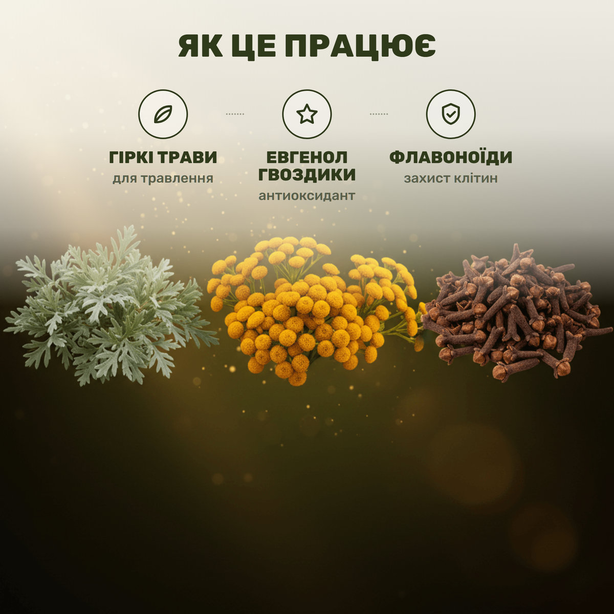 Три травы Тройчатки — пижма, полынь, гвоздика — рядом с капсулами Лісовик