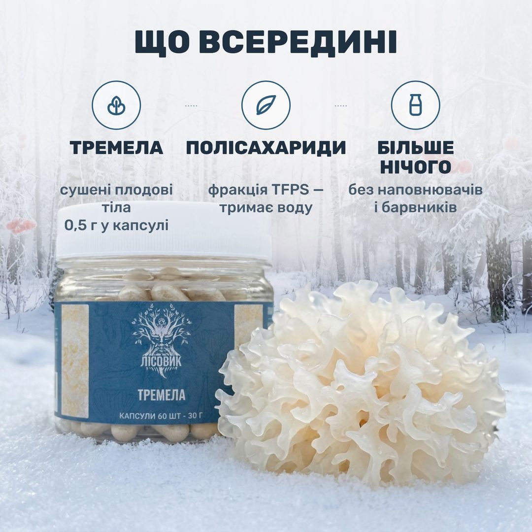 Сніжний гриб тремела білою квіткою на снігу поруч із банкою капсул Лісовик по 0,5 г