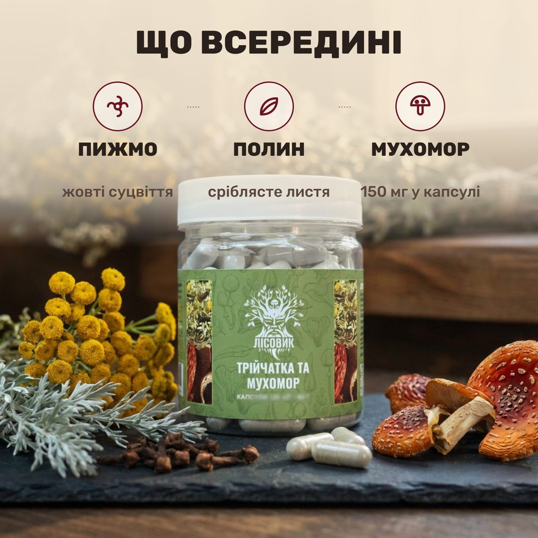 Червоний мухомор, пижмо, полин і гвоздика поряд із капсулами Трійчатки Лісовик