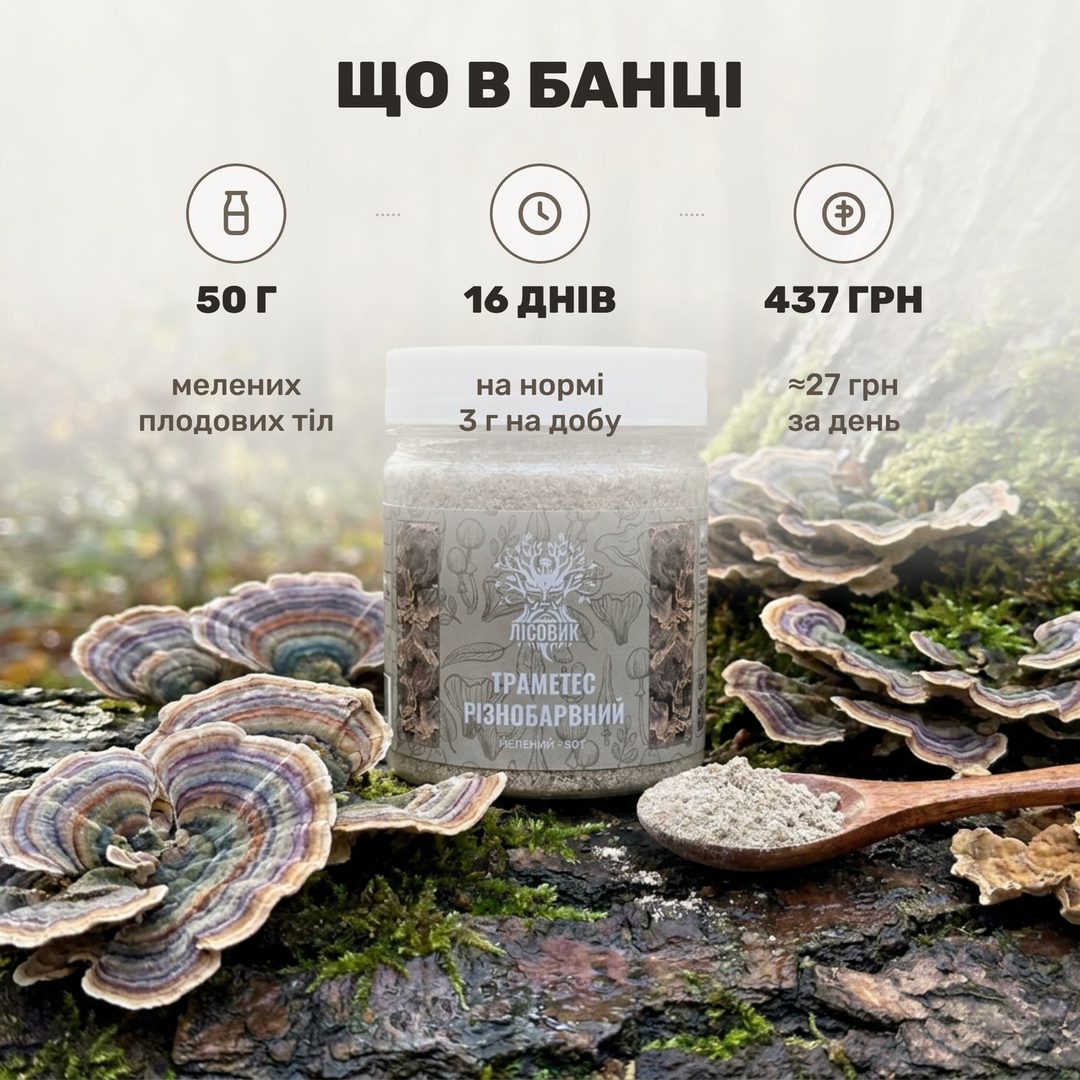 Молотый траметес разноцветный Лісовик — банка 50 г и порошок у куска трутовика