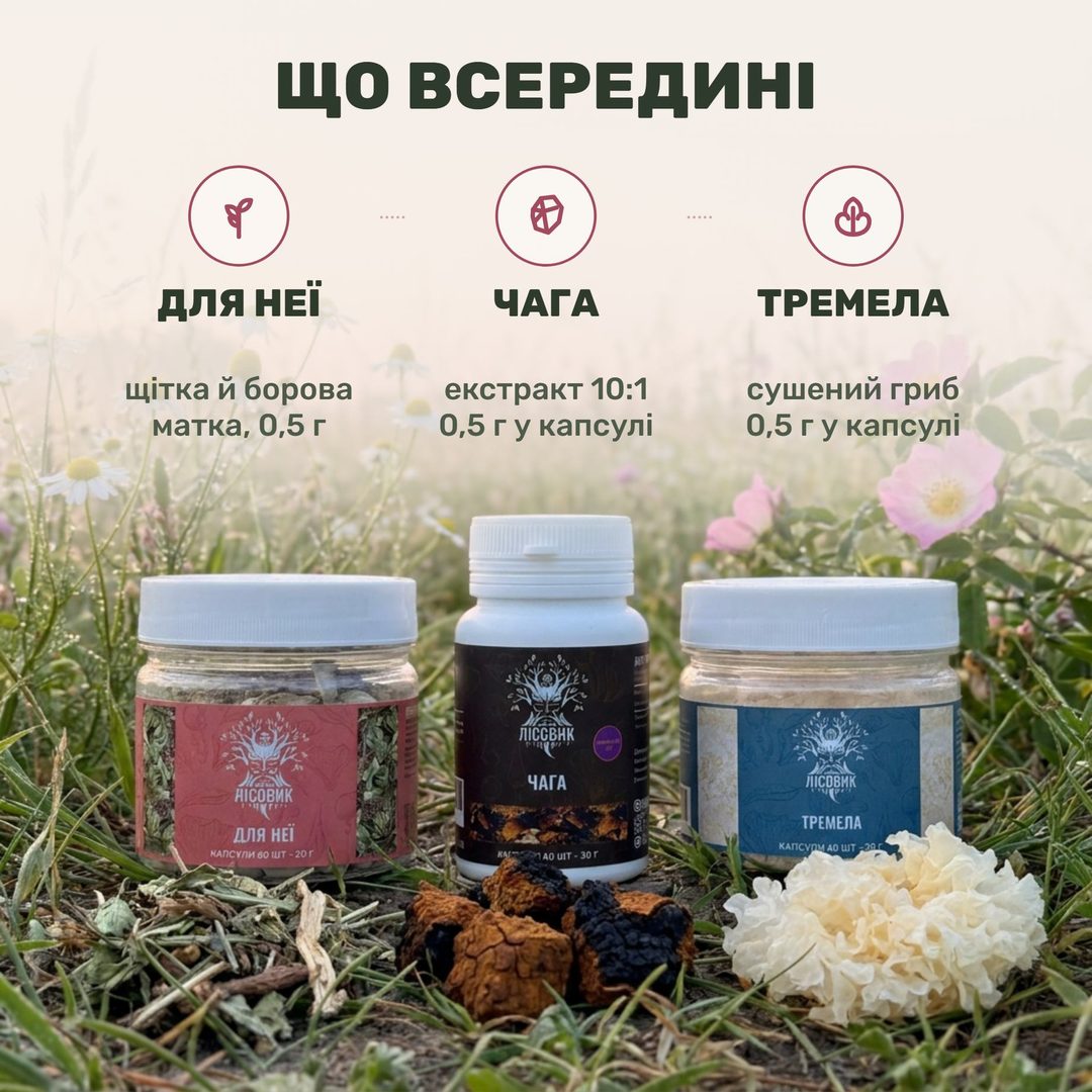 Банки курсу WOMEN Лісовик поруч: березова чага, сніжний гриб тремела та трав'яна «Для неї»