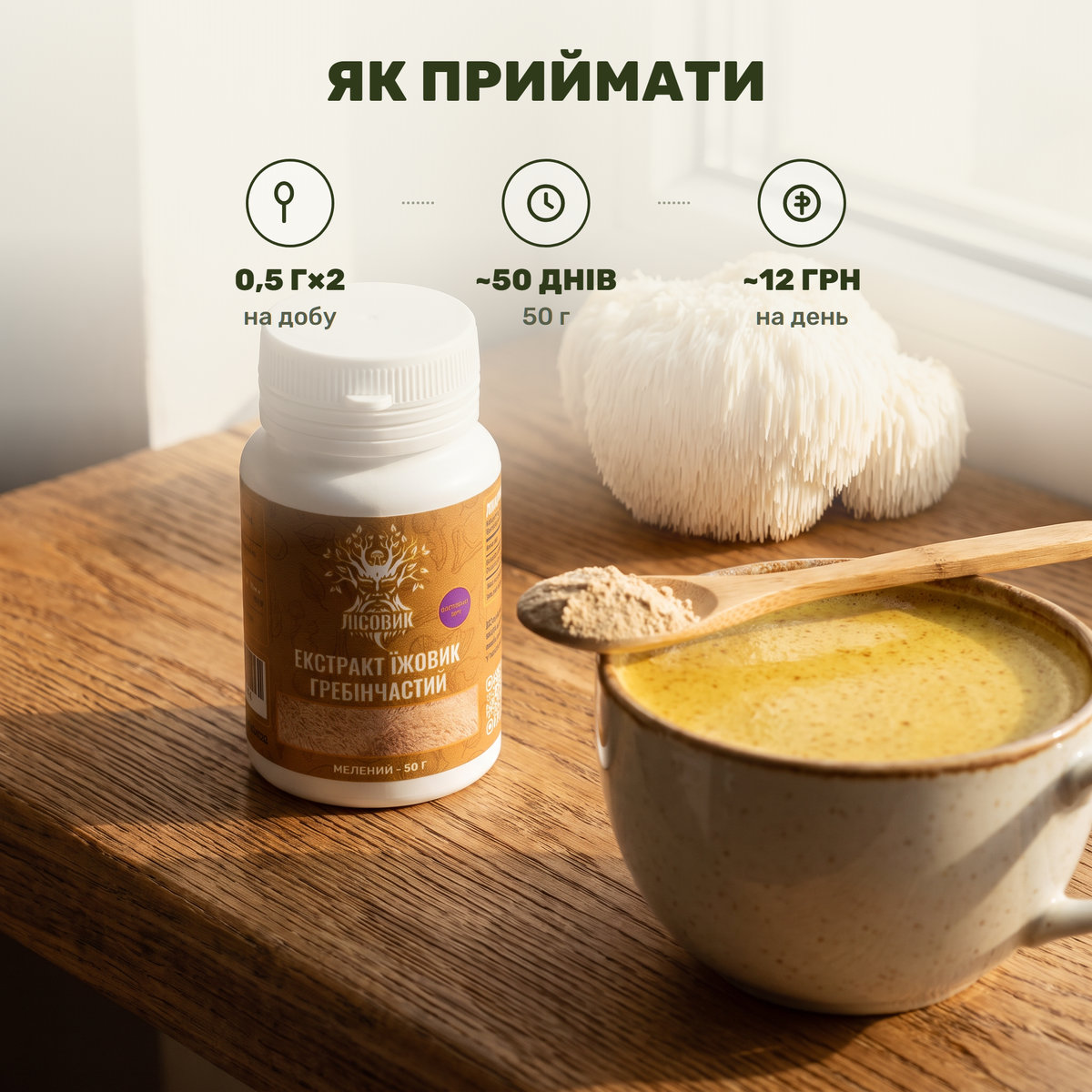 Біло-кремовий гриб їжовик гребінчастий, банка меленого екстракту Лісовик і чашка теплого грибного напою