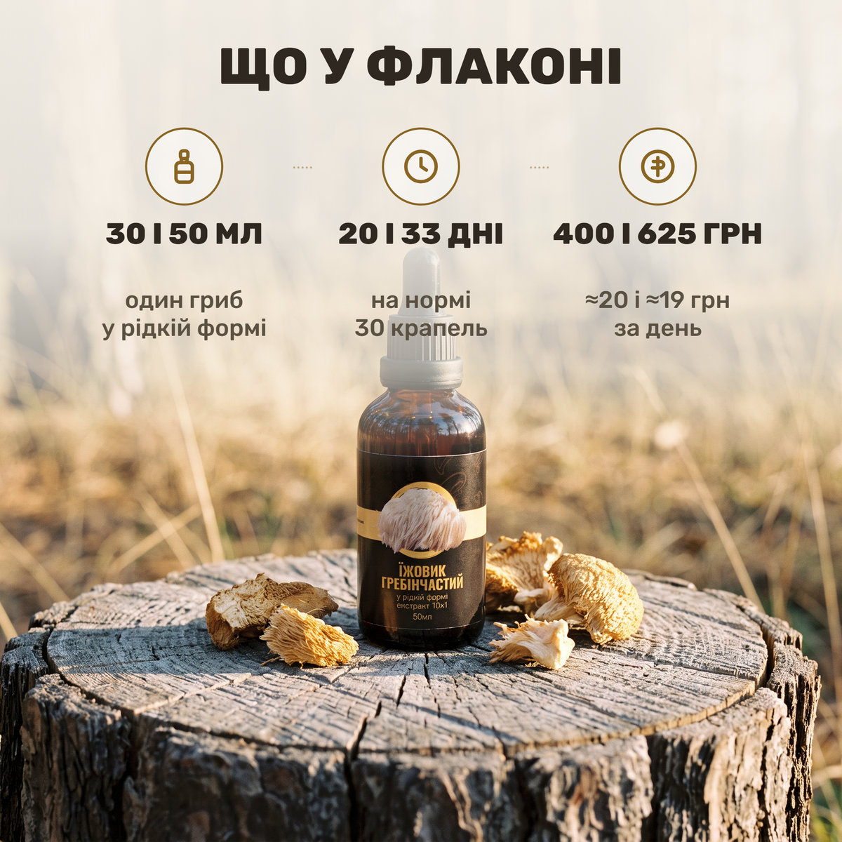 Пушистый бело-кремовый гриб ежовик гребенчатый (львиная грива) рядом с флаконом-капельницей жидкого экстракта Лісовик на фоне лесной древесной коры