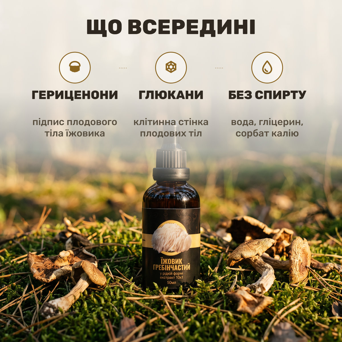 Пушистый бело-кремовый гриб ежовик гребенчатый (львиная грива) и флакон-капельница жидкого экстракта Лісовик на фоне лесной древесной коры