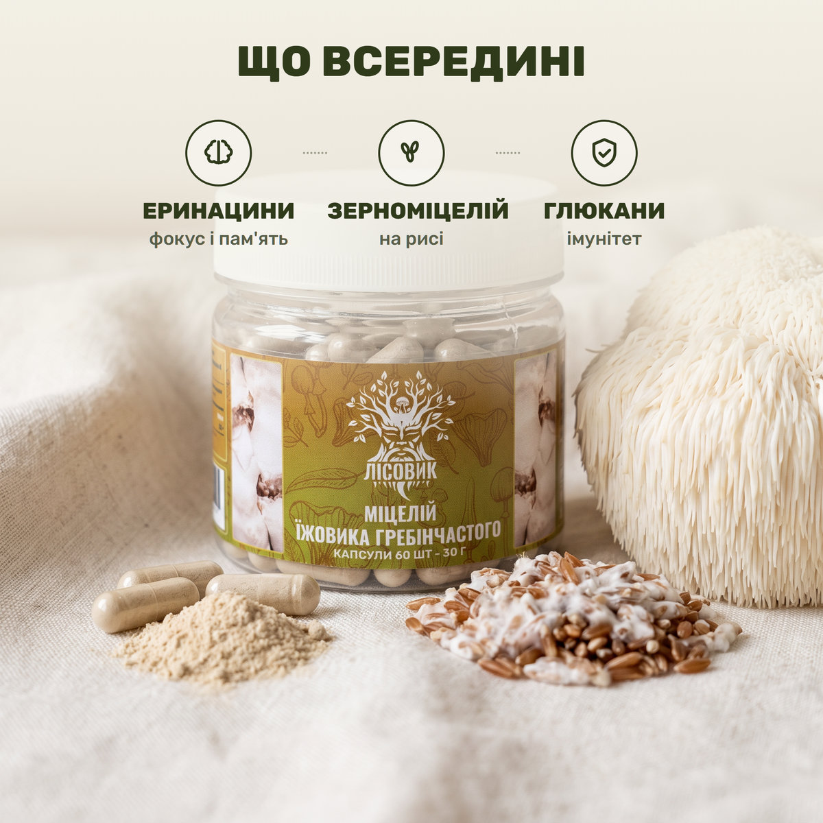 Бело-кремовый гриб ежовик гребенчатый (львиная грива) рядом с прозрачной банкой капсул мицелия Лісовик на фоне древесной коры