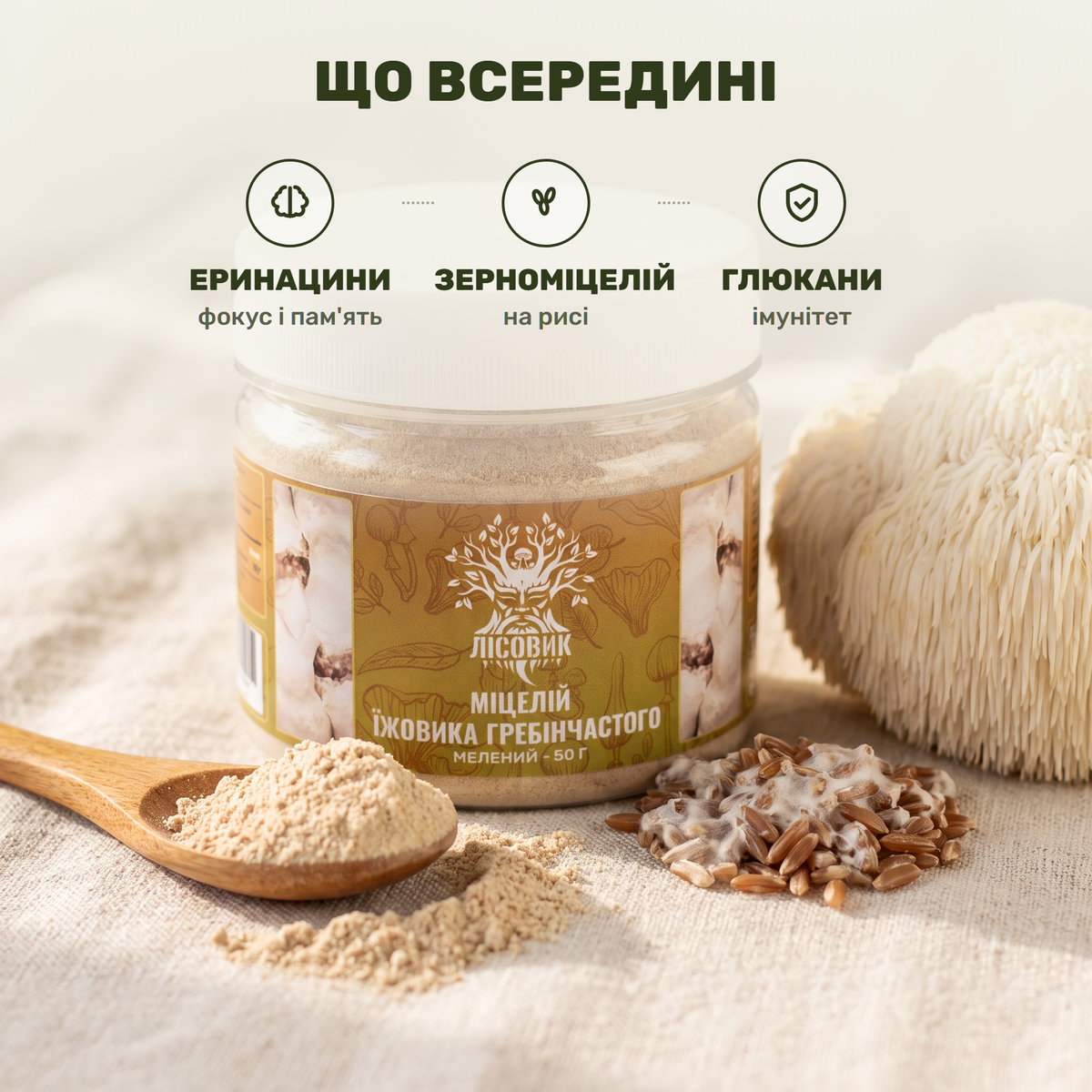 Біло-кремовий гриб їжовик гребінчастий (левова грива) поряд із банкою меленого міцелію Лісовик на тлі деревної кори